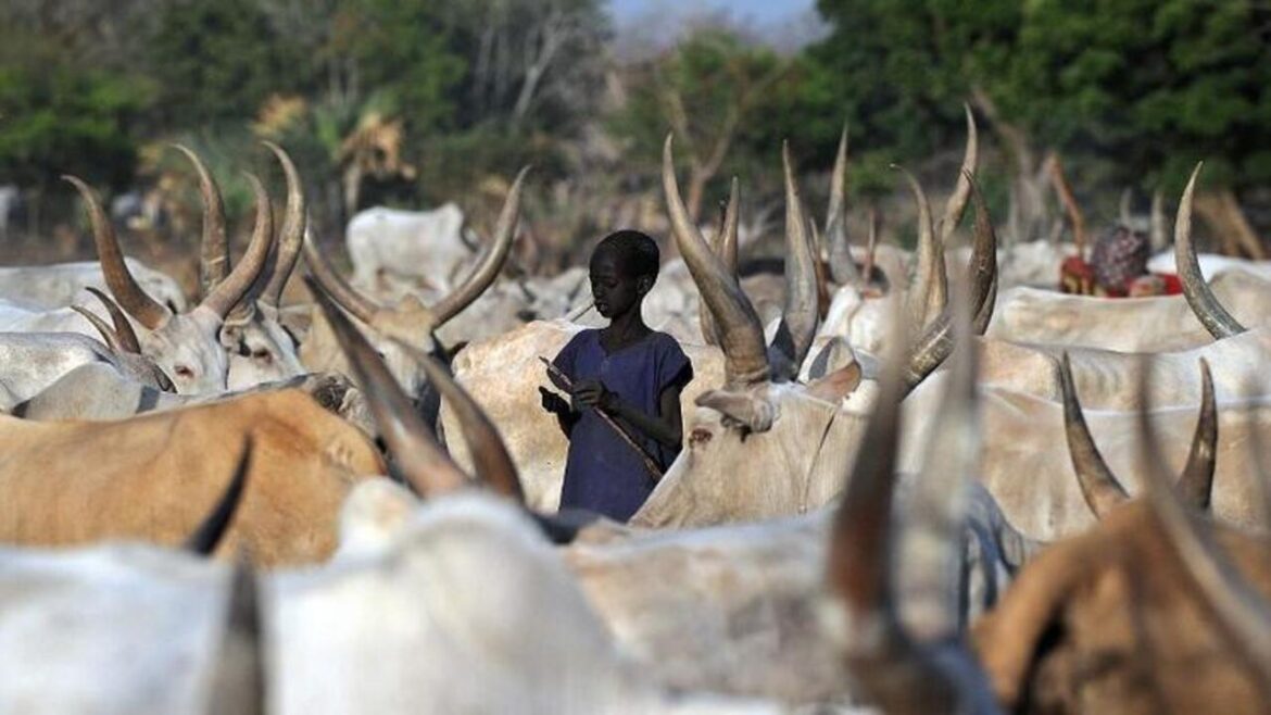 Deadly Cattle Raid in South Sudan Kills 35 as Ethnic Tensions Surge, Experts Urge Immediate Action